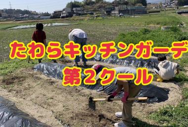 たわらキッチンガーデン第2クール